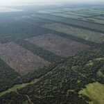 Argentina en venta: el Gobierno y sus aliados buscan legalizar la entrega sin límites de tierras a extranjeros